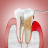 Periodontia e cirurgias plásticas periodontais 